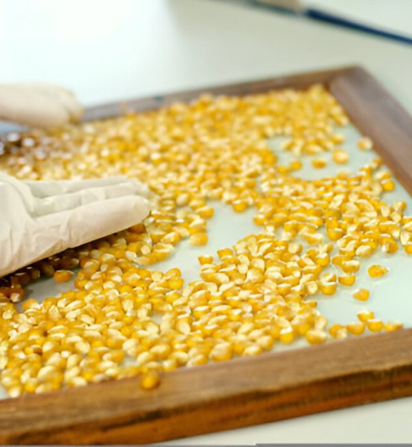 steptodown.com746158